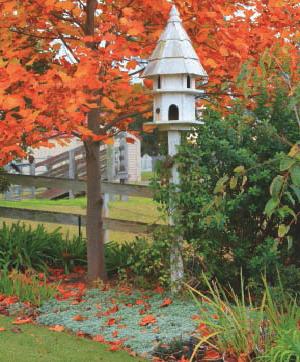 Things to do: Autumn